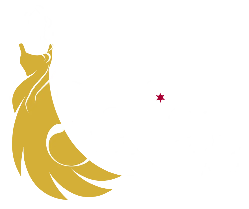 Safias Dream Safias Dream